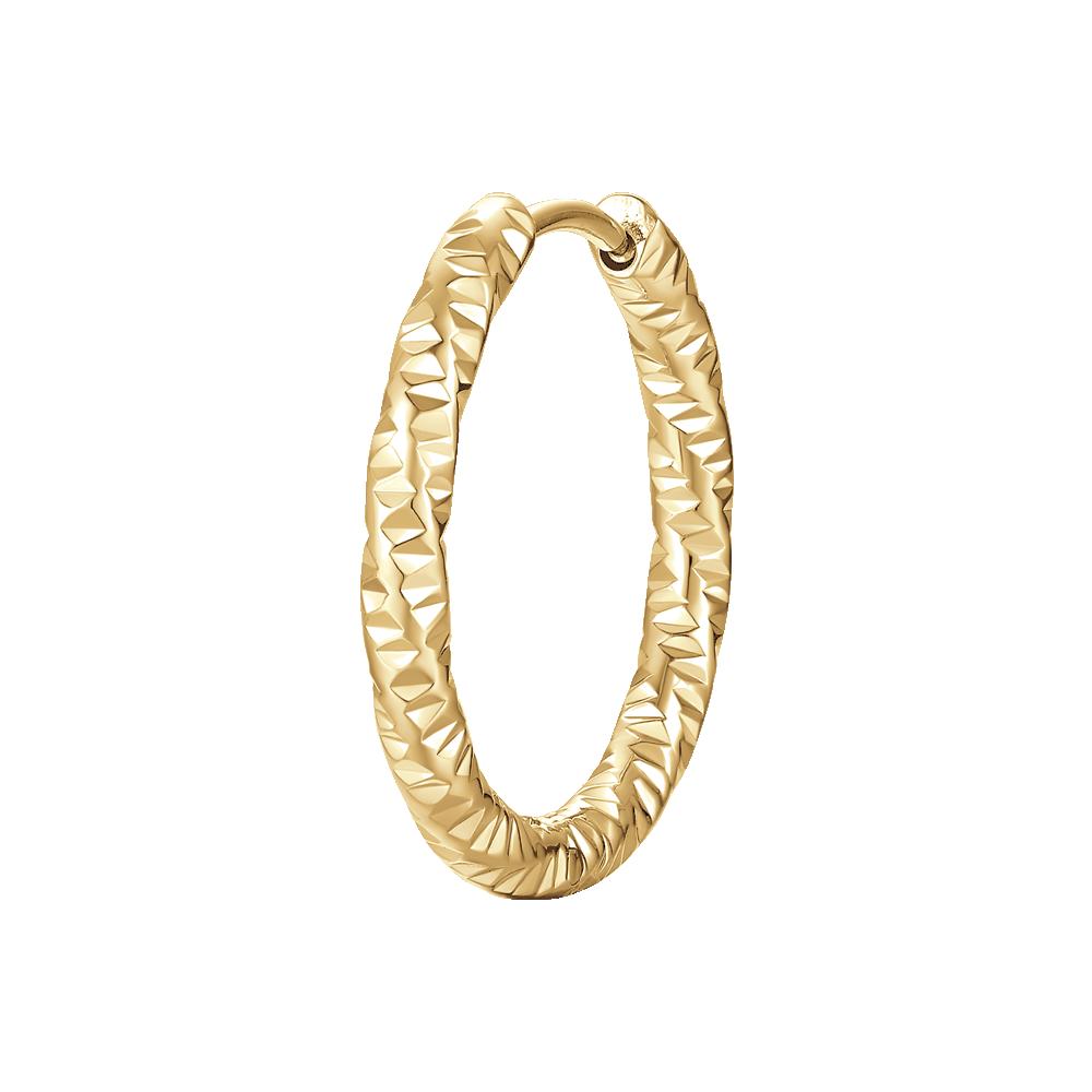 Orecchini A Cerchio Leone – Gioielli Moda Donna – Fatti A Mano In Ottone Dorato