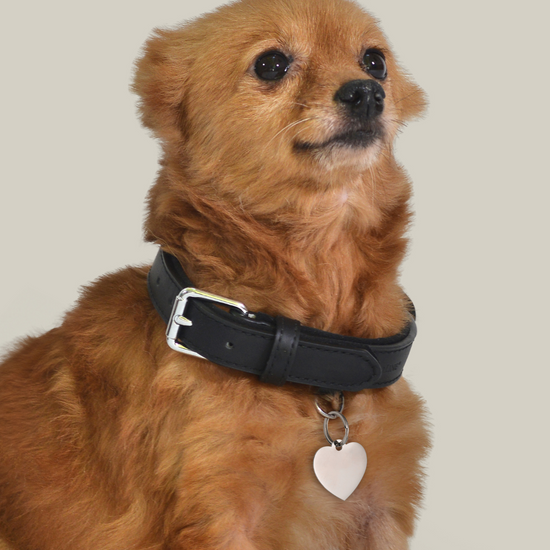 MEDAGLIETTA PERSONALIZZABILE CANE E GATTO CUORE