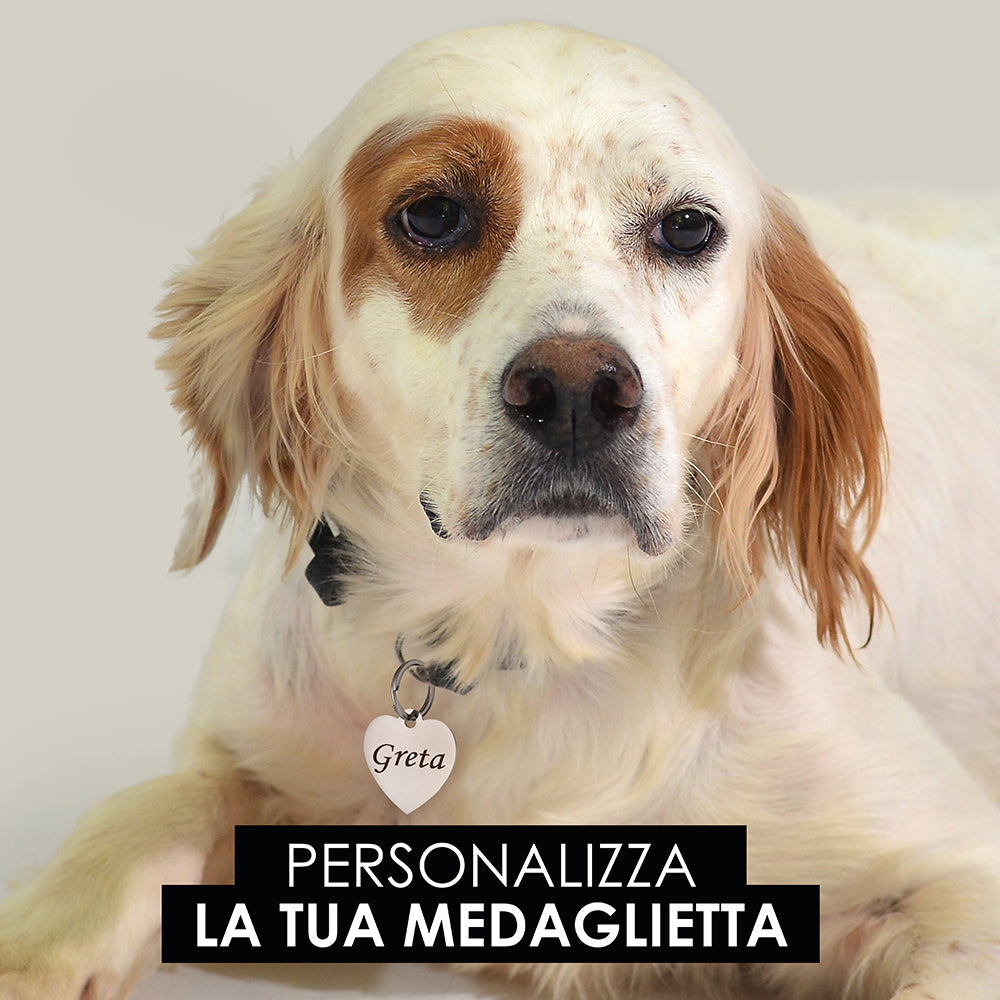 MEDAGLIETTA PERSONALIZZABILE CANE E GATTO CUORE