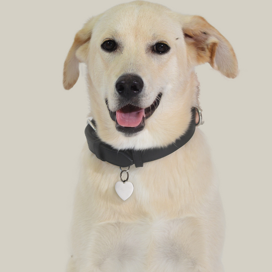 MEDAGLIETTA PERSONALIZZABILE CANE E GATTO CUORE