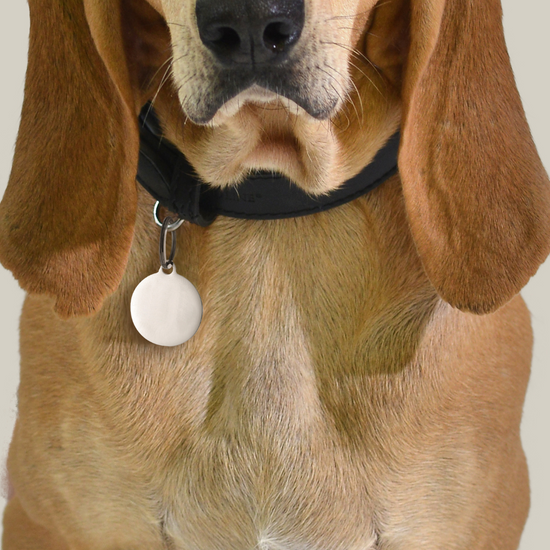 MEDAGLIETTA PERSONALIZZABILE CANE E GATTO CERCHIO