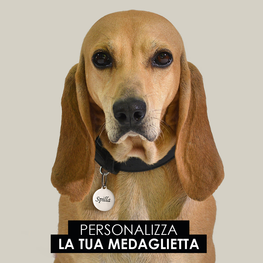MEDAGLIETTA PERSONALIZZABILE CANE E GATTO CERCHIO