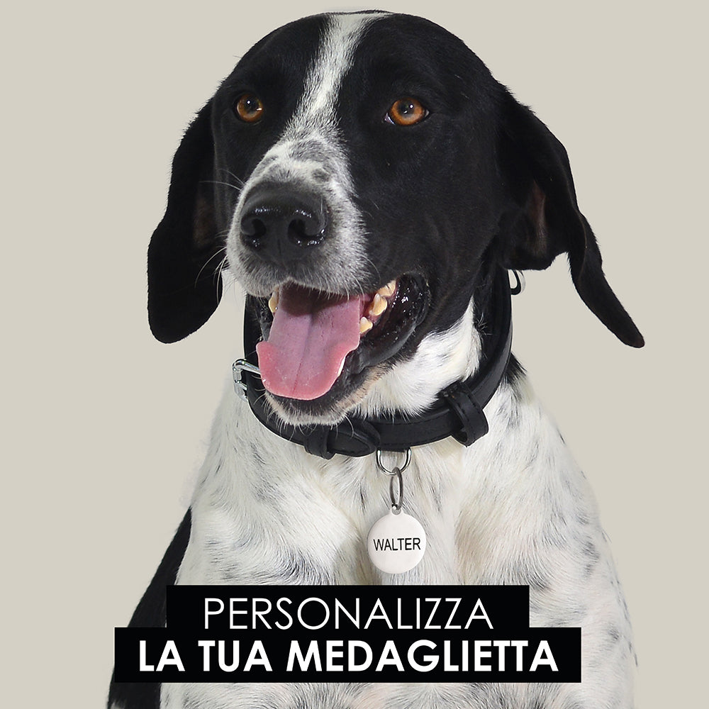 MEDAGLIETTA PERSONALIZZABILE CANE E GATTO CERCHIO